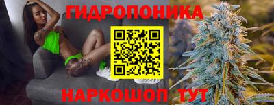 стафф Моздок